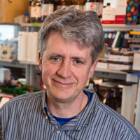 Michael Koob, Ph.D.