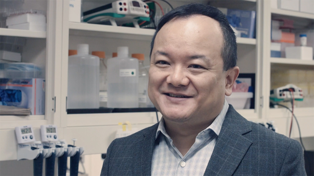 Ruifeng Cao, M.D., Ph.D.